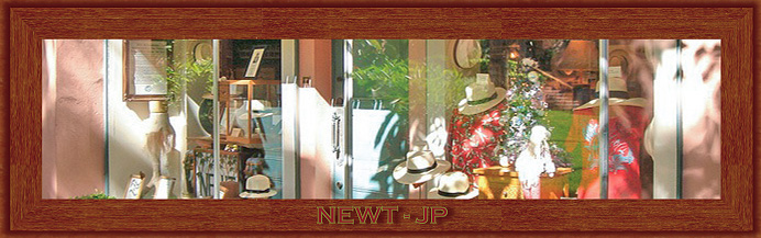 ハワイのパナマハットとアロハシャツの専門店 ニュート / Newt JP _ 